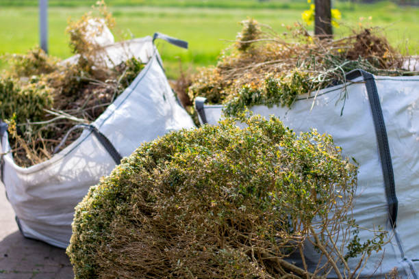 Best Hoarding Cleanup  in Grayvle, IL